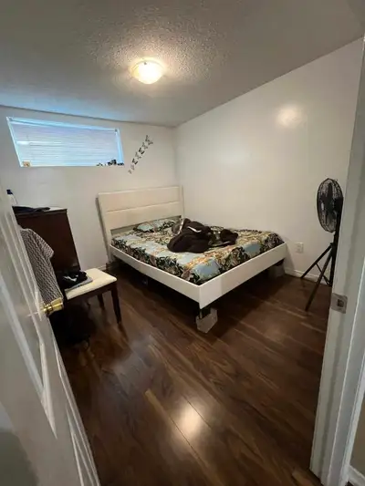 Basement for rent