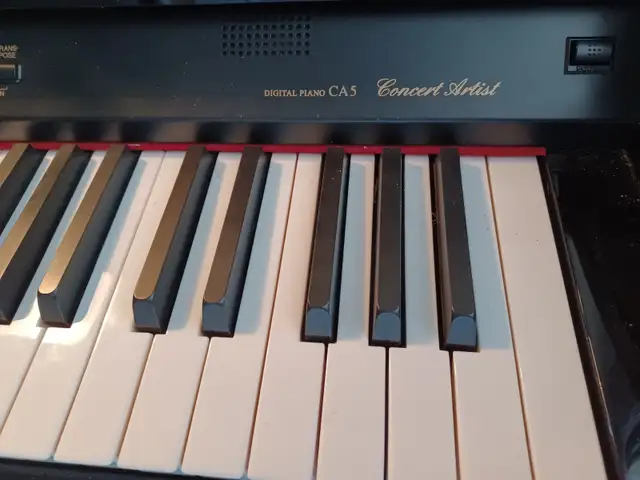 Piano top of the line in Pianos & Keyboards in Chatham-Kent - Image 3