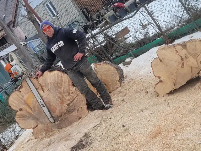 Arborist64840195522691122