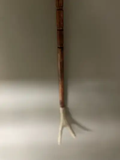 Back Scratcher, View more