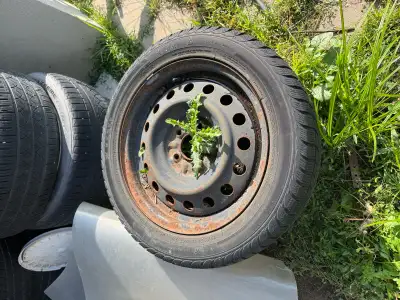 Selling my set of winter tires with steel rims. Size is 205 55 16. Taken off of an Acura CSX. Used f...