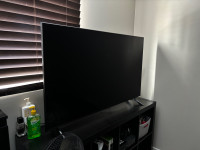 LG 55” NanoCell TV with ThinQ AI 