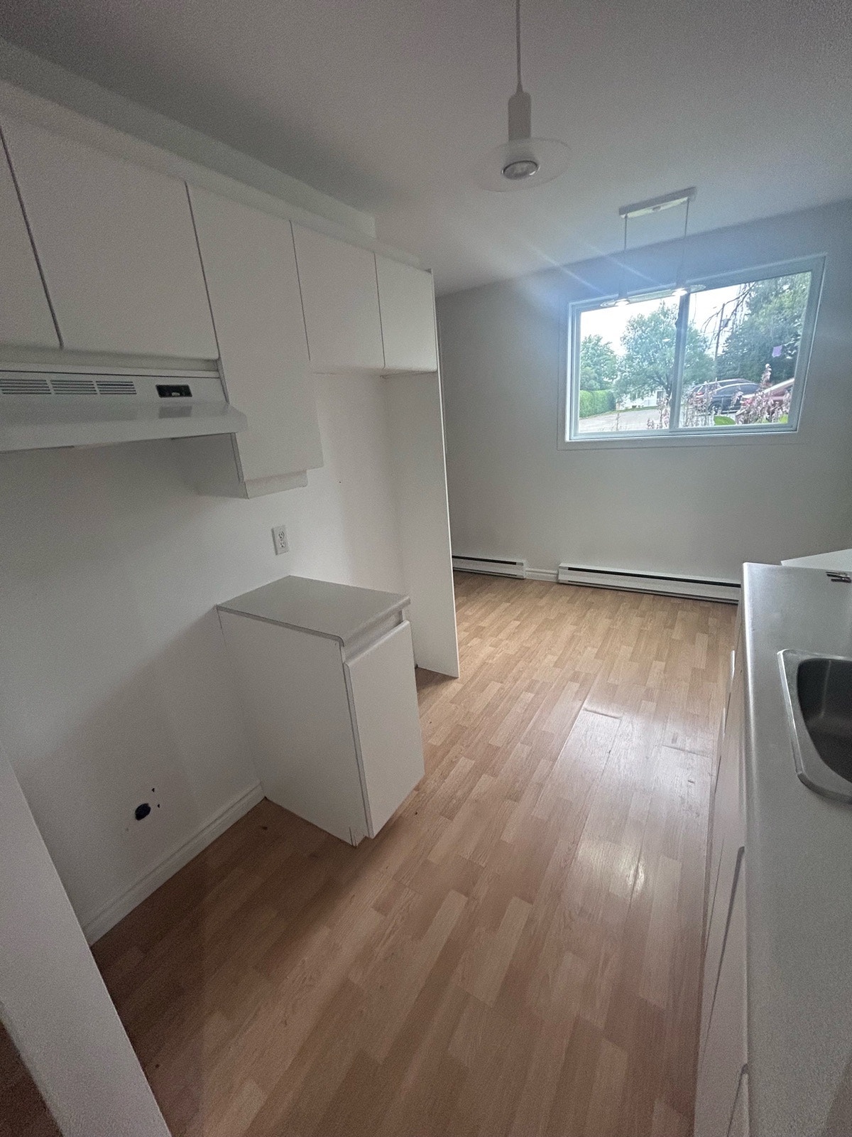 1091 Rue Saint-Désiré — photo 1