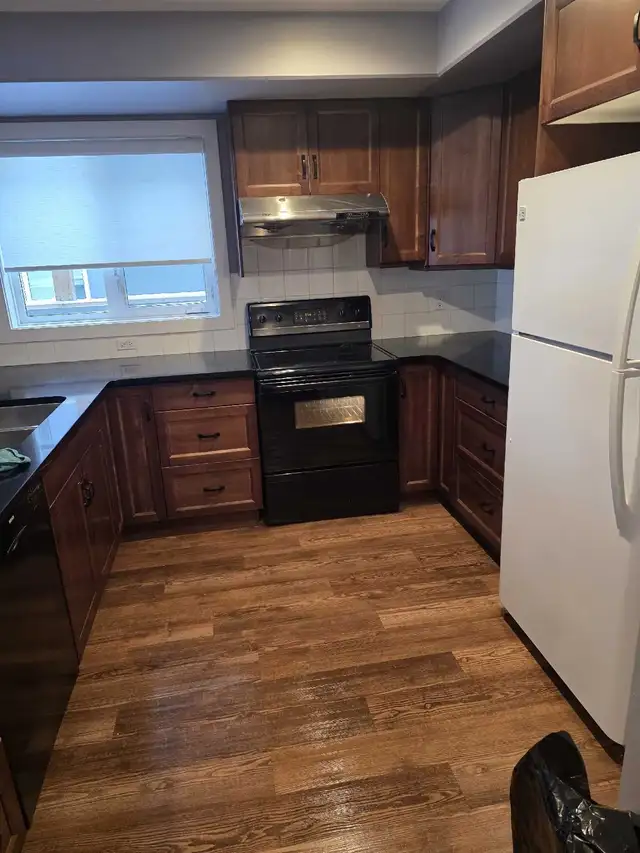 house cleaner available 64840284068993120