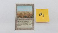 SCRUBLAND MAGIC MTG REVISED DUAL LAND ( 80% FACE TO FACE ) NM #1