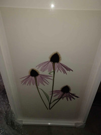 Echinacea art