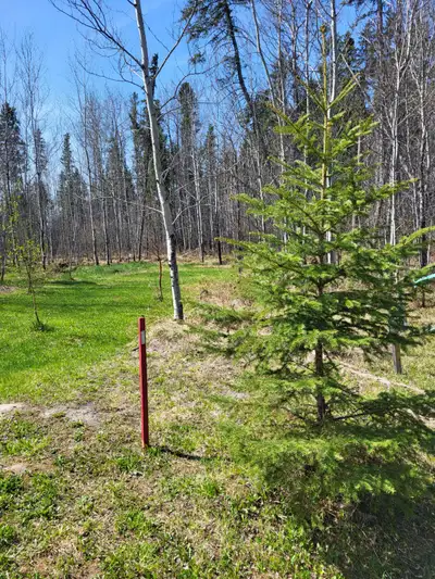 Lot 28 at Cranberry Creek Crescent. Aspen and white spruce trees. Partially cleared area along roadw...