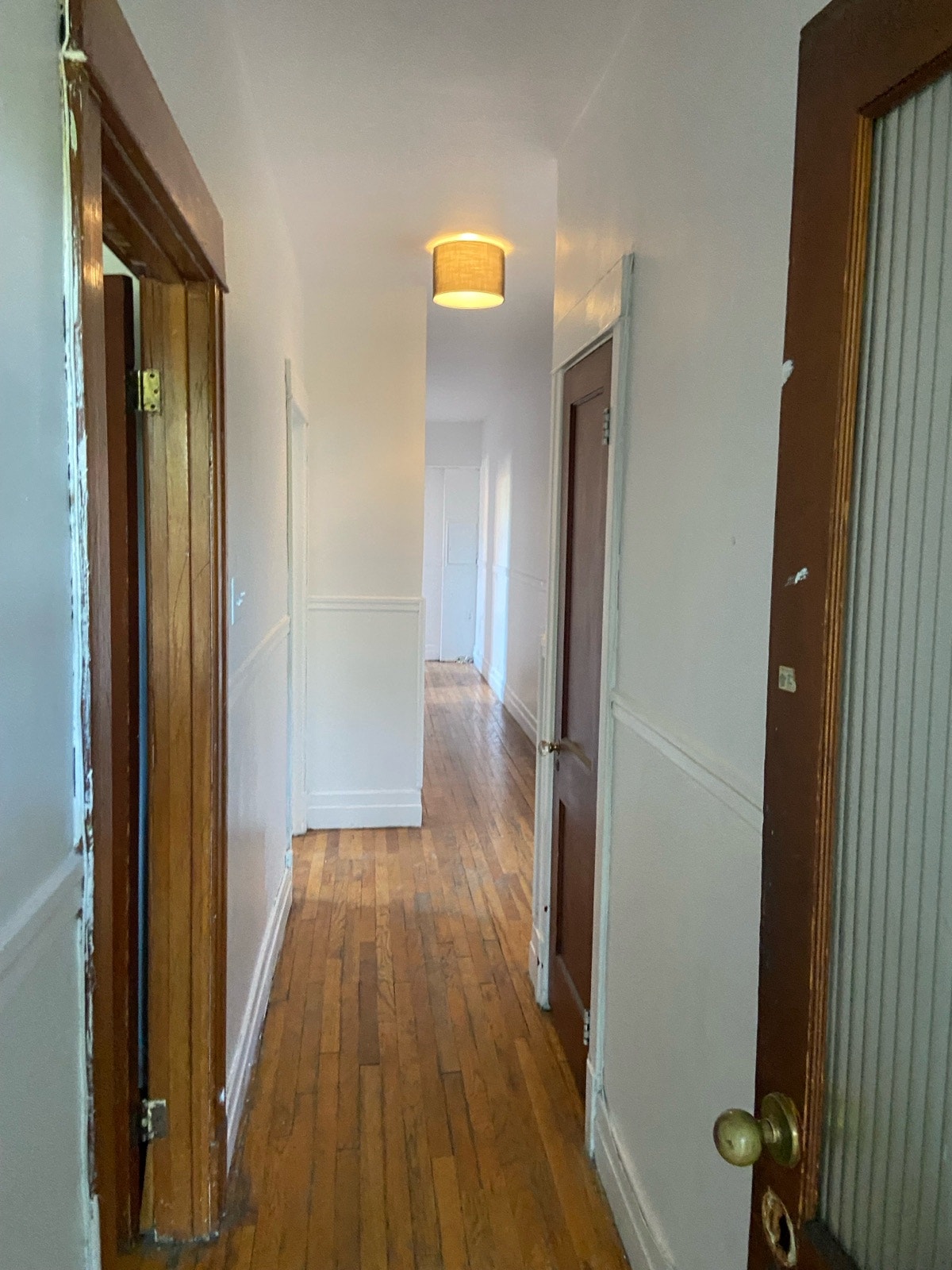 7768 Rue St-Hubert — photo 2