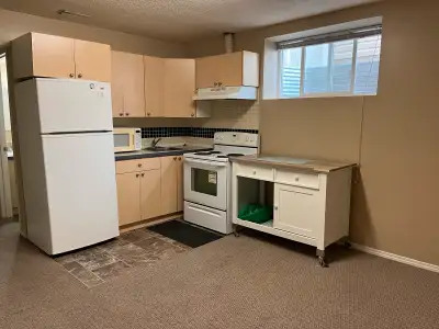 Basement for Rent in Taradale