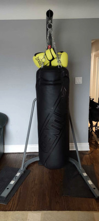 100 Pound Century Heavybag With Stand/Gloves