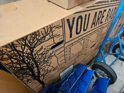 RadRunner 1 Electric Bike (Sealed in Box), View more