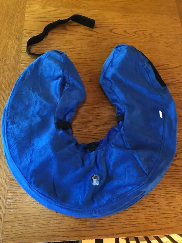 XL inflatable dog cone collar in Accessories in Saskatoon - Image 2