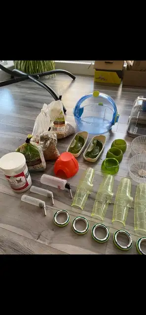 cage pour hamster in Accessories in Lanaudière - Image 4