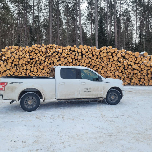 Firewood for sale in Other in Kawartha Lakes