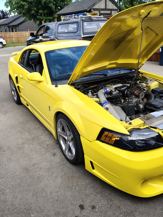 Supercharged Mustang GT in Classic Cars in Oakville / Halton Region - Image 4