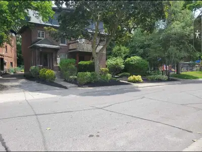 Lawn Maintenance Services , View more