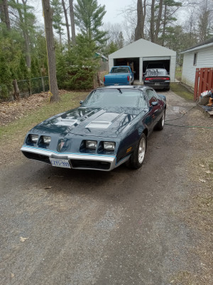 1981 Pontiac Firebird Formula