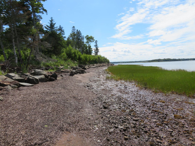 Ocean Waterfront Land, Malagash, North Shore, Nova Scotia in Land for Sale in City of Halifax