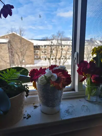 ###Private Room for Rent – Downtown A private room is available in a clean, quiet, and friendly apar...