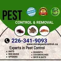 MINISTRY CERTIFIED EXTERMINTOR ,PEST CONTROL,226-341-9093