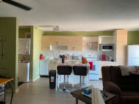 Cozy Fully Furnished 2 bdrm Apart incl all utilities w/d