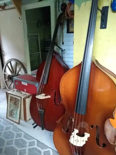 Double Bass Player, View more