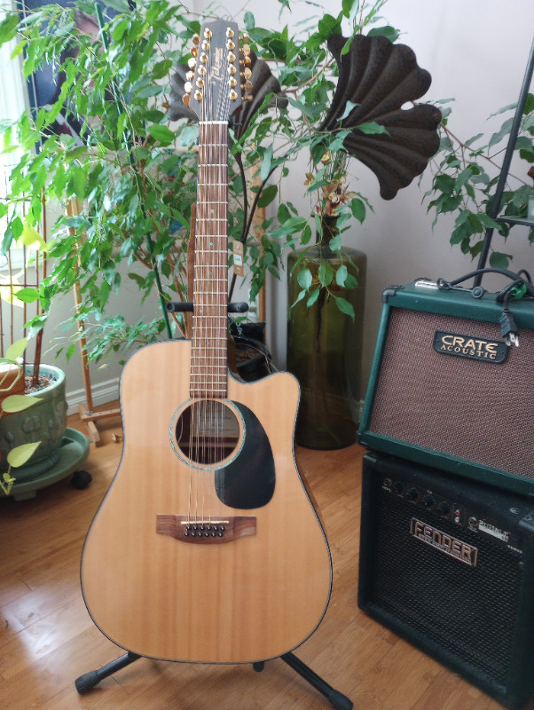FS: Takamine 12 string acoustic/electric in Guitars in Saskatoon