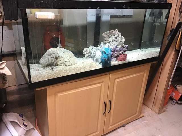 90 gallon Aquarium /cabinet in Fish for Rehoming in Belleville