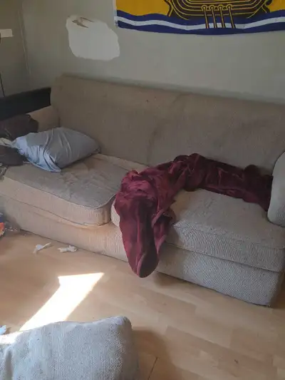 Looking for Movers – Tomorrow (Kitchener/Waterloo Area), View more
