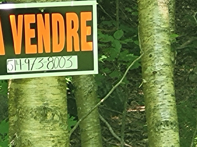 23 Rue Pilon — photo 1