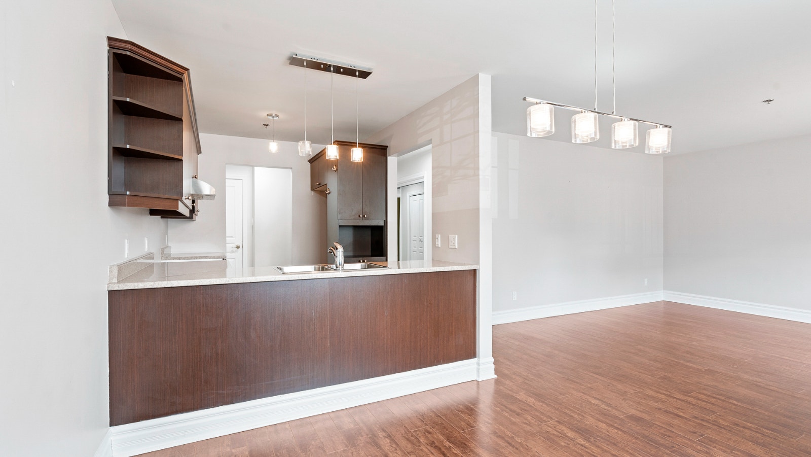 2043 Rue Racine — photo 3