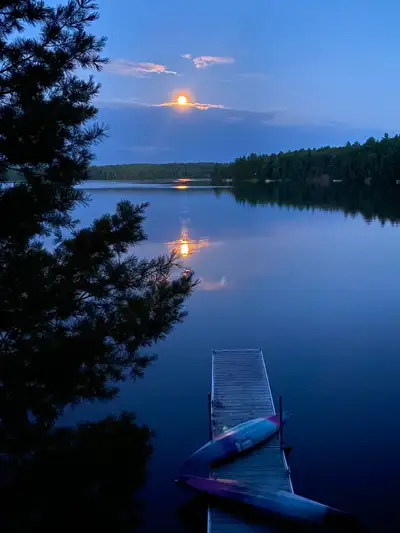 Welcome to your ultimate cottage property! Just over 1 (one) acre! Lake-like quietude with full acce...