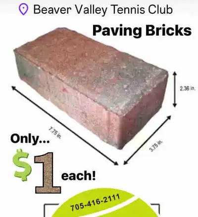 Unistone Paving Bricks! Only a buck a Brick! What pay $2.49 new?, View more