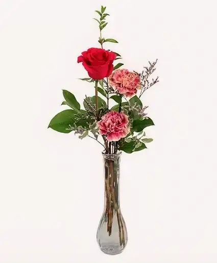 Mothers day flowers in Events in Edmonton - Image 11