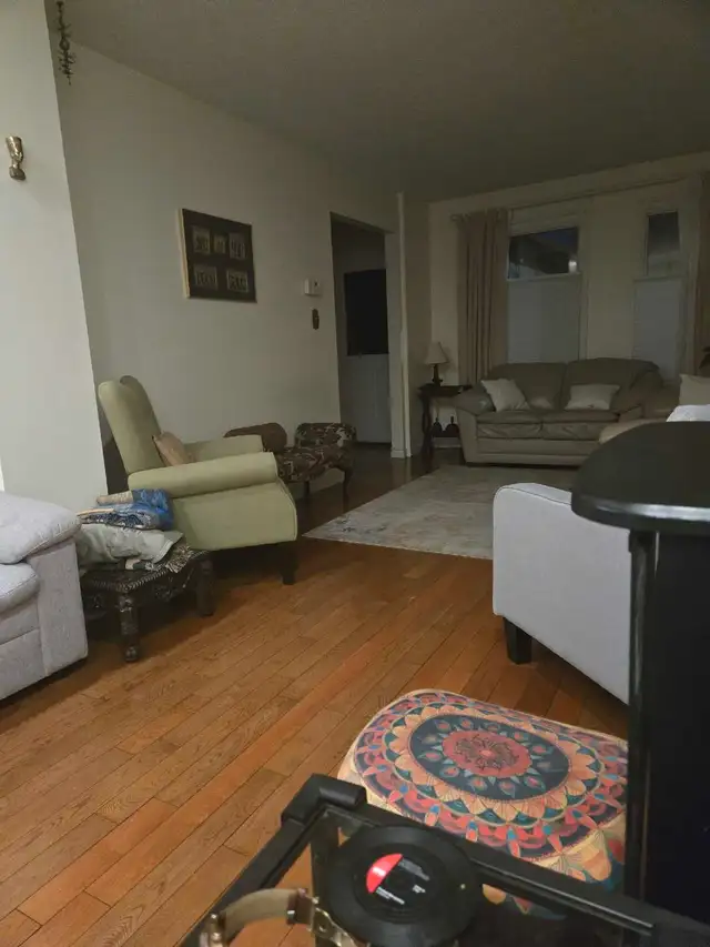 HOUSE CLEANER WANTED