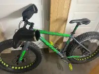  fat bike