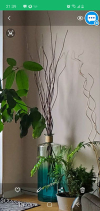 Decorative twigs bundle 5,5' tall -NATURAL+⭐Bonus⭐ 