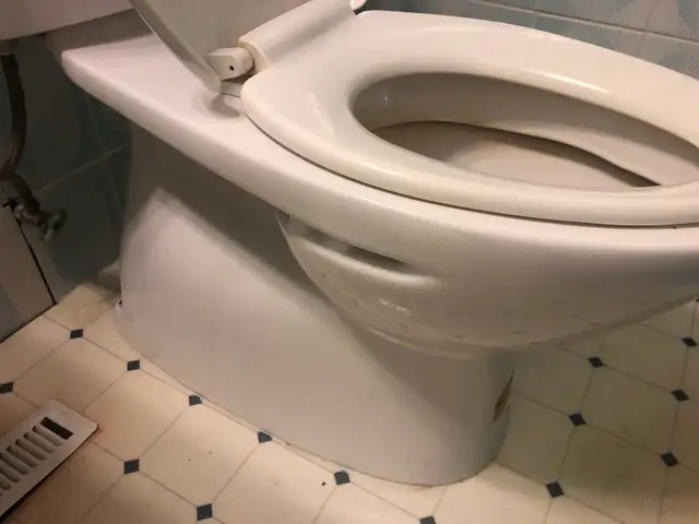 Handyman services 547498949901690888