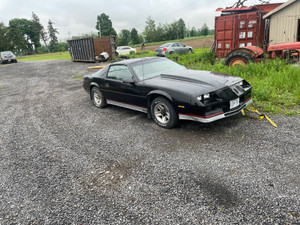 1984 Chevrolet Camaro