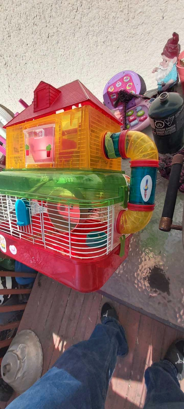 Hamster cage with accessories  in Small Animals for Rehoming in Winnipeg