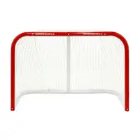 Looking for a free hockey net