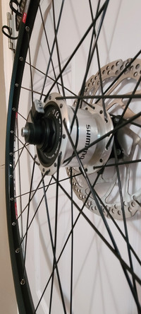 2019 DT Swiss 29" rim with Dynamo Hub and Sinewave Charger