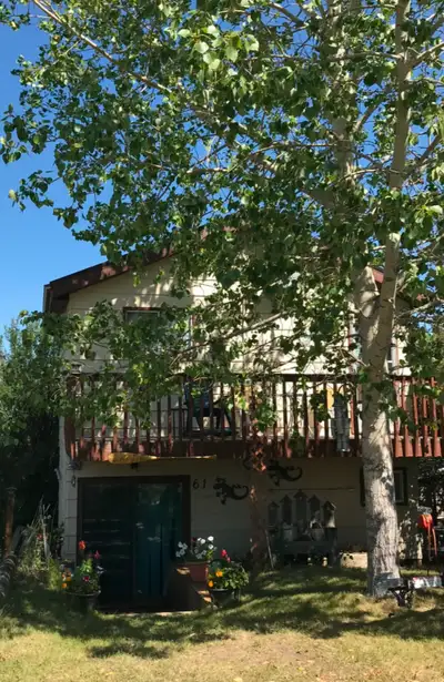Two story cabin lakefront lot .Approximately 750-800sq ft on a lot that measures 100x25 Sq ft . Loca...