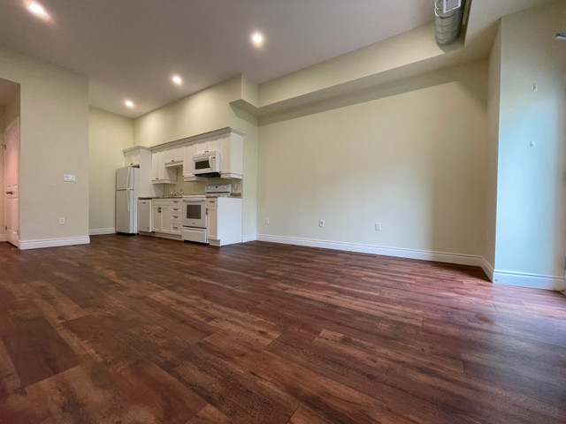 Waterford - One bedroom - One Bath Apartment - Perfect Location! in Long Term Rentals in Norfolk County - Image 4