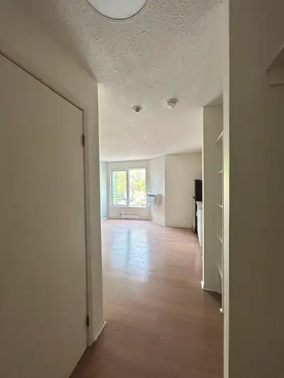 Studio/Bachelor Apartment