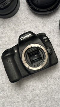 Canon 80D + Prime, Zoom and Macro Lenses