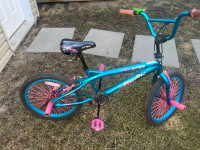 Girls 20” Bmx Bike