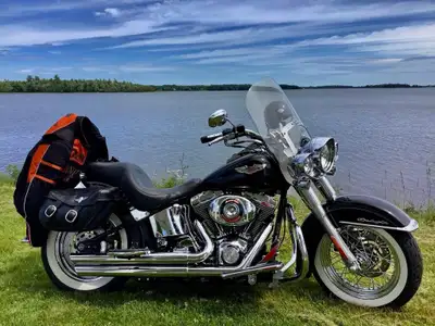 Harley Davidson softail deluxe FLSTNI excellente condition les frein on été changé l’automne dernier...