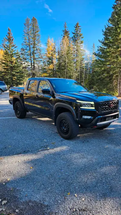Fully loaded pro 4x with fender audio leather seats and all the bells and whistles.36000km Add-ons i...