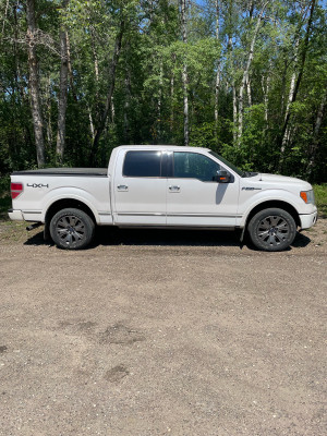 2011 Ford F 150 Platinum 